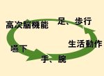 【体と高次脳機能の繋がり】療法士の専門性とは？