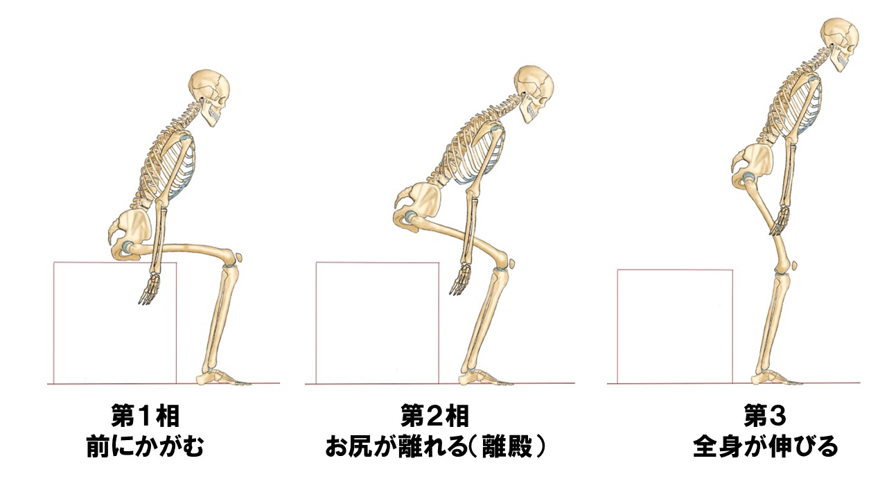 脳卒中 立ち上がり動作】特徴 原因 姿勢 重心 | 千葉県 自費リハビリ施設 トータルリハビリテーション 「トリア」