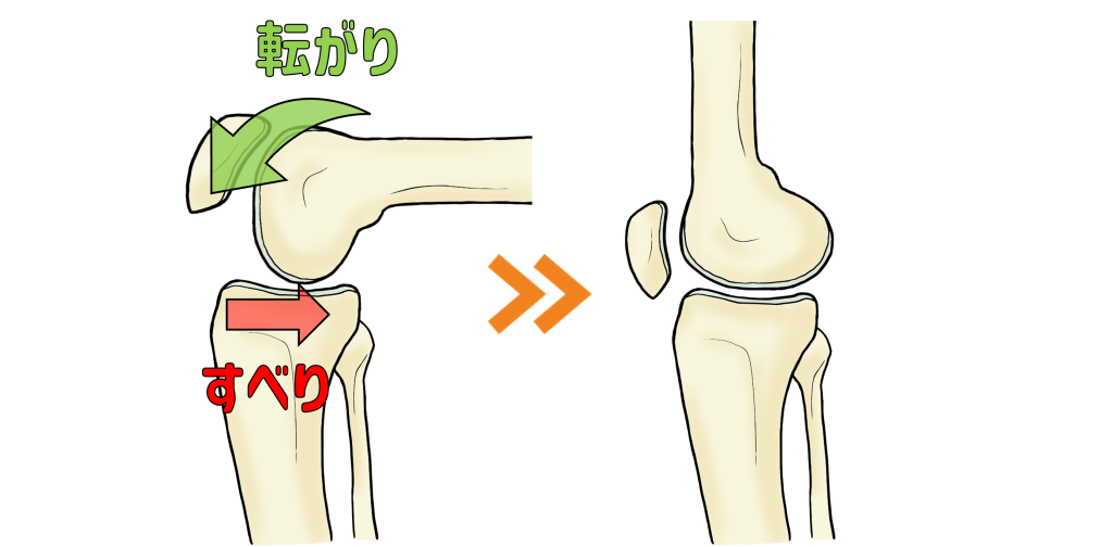 膝の動き