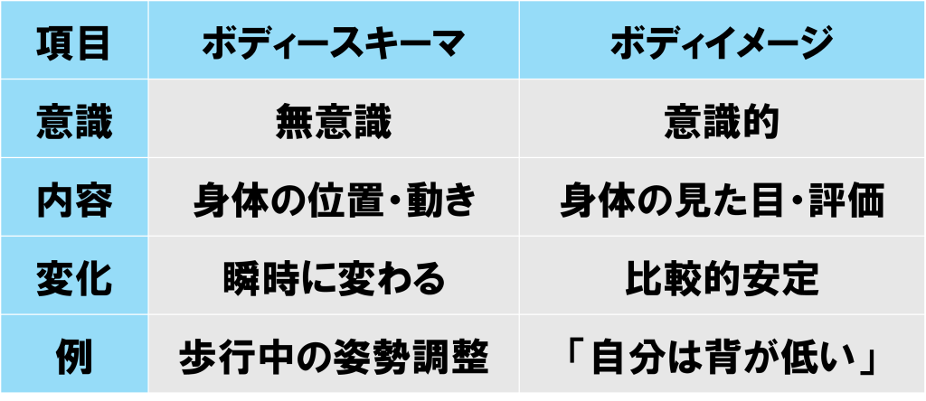 ボディースキーマ